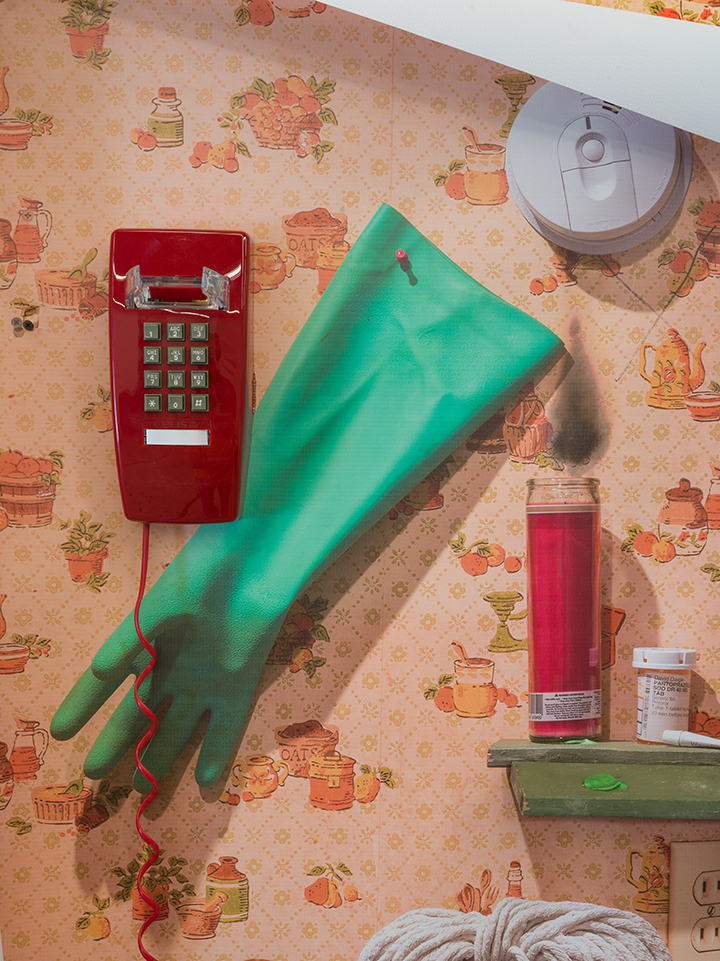 Domestic Dilemma - Detail 1