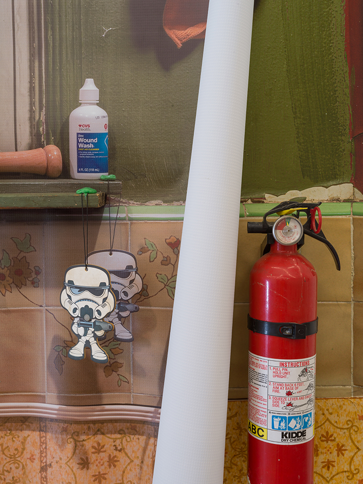 Domestic Dilemma - Detail 2