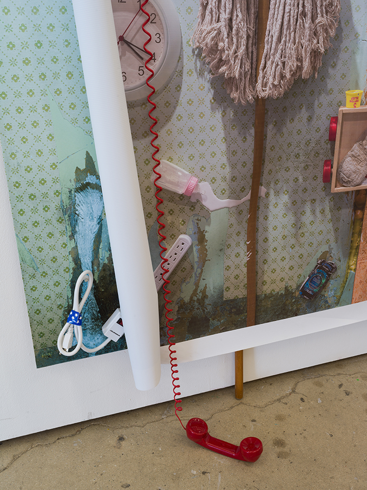 Domestic Dilemma - Detail 3