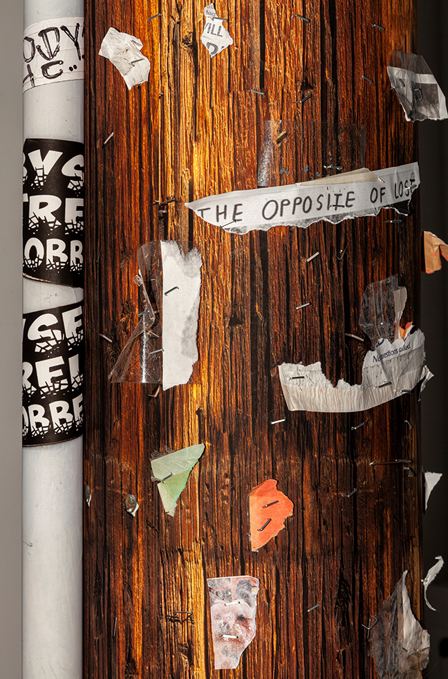 The Opposite Of Lost - Detail